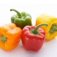 Capsicum