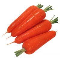 Carrot
