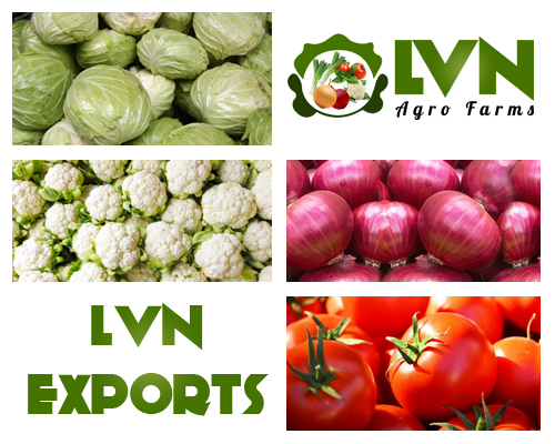 lnv-exports