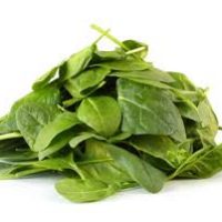 Palak